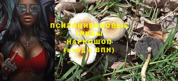 2c-b Козловка