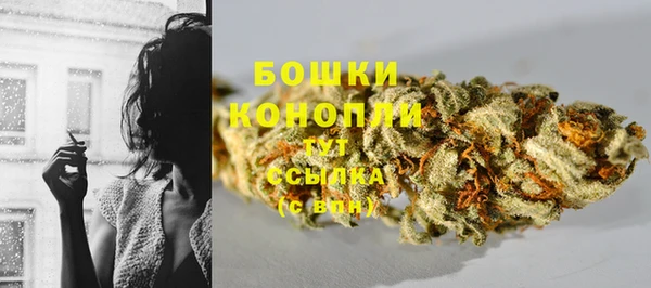 МДПВ Кодинск